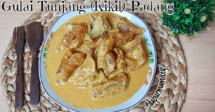 Tunjang kikil padang gulai masak