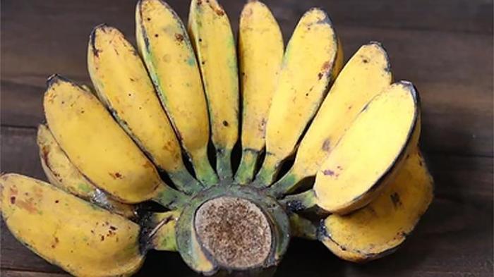 Pisang digoreng cocok bingung deretan perlu mahal selatan bahan ilustrasi banana kesehatan bagi baik kanker konsumsi mencegah termasuk tubuh colon