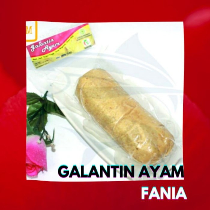 Galantin ayam bumbu kuning