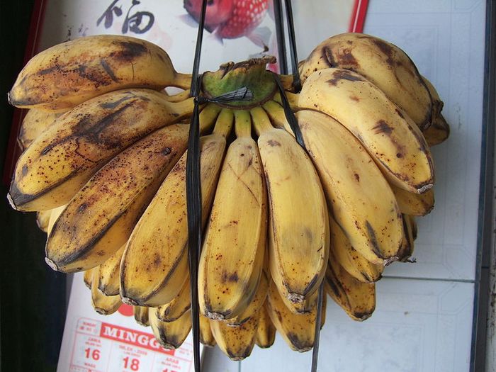 5 jenis pisang yang paling cocok diolah jadi pisang goreng