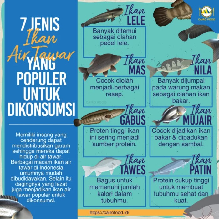 5 macam ikan air tawar yang paling banyak dikonsumsi di indonesia