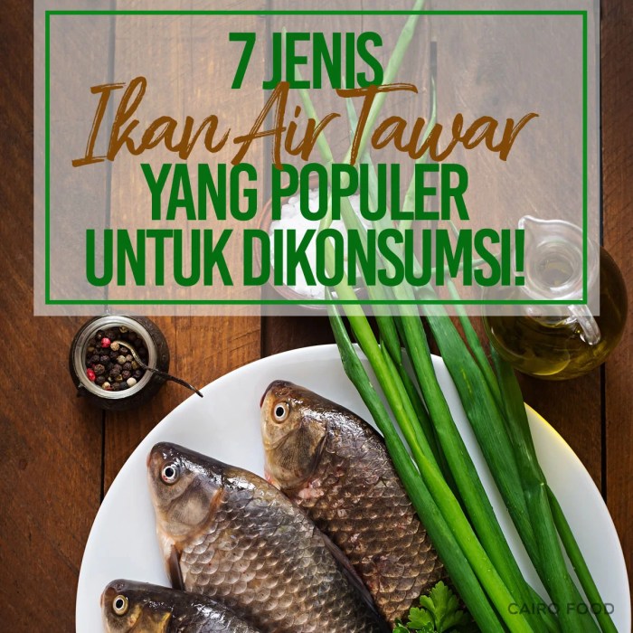 5 macam ikan air tawar yang paling banyak dikonsumsi di indonesia