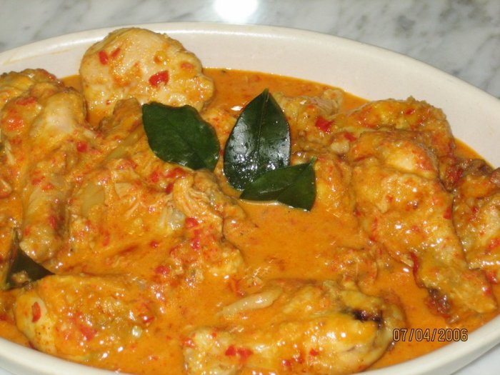 Ayam masak paniki