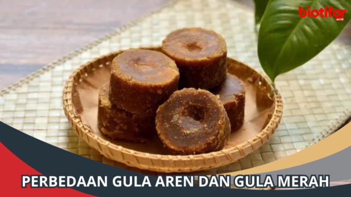 Jangan sampai tertukar ini dia perbedaan antara gula aren dan gula jawa