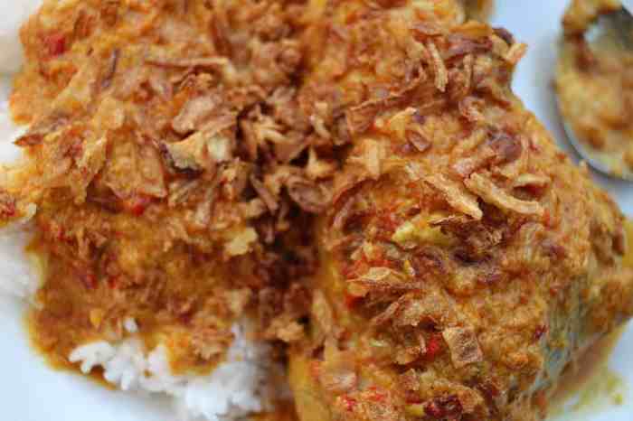 Ayam masak paniki