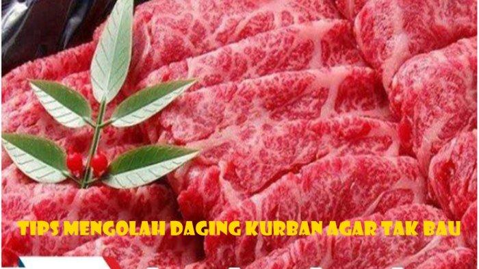 Tips mudah hilangkan bau amis saat mengolah daging kurban dengan 5 bahan alami ini