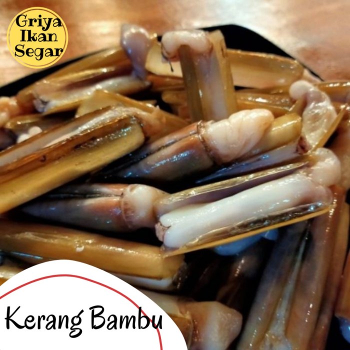 Kerang bambu pedas