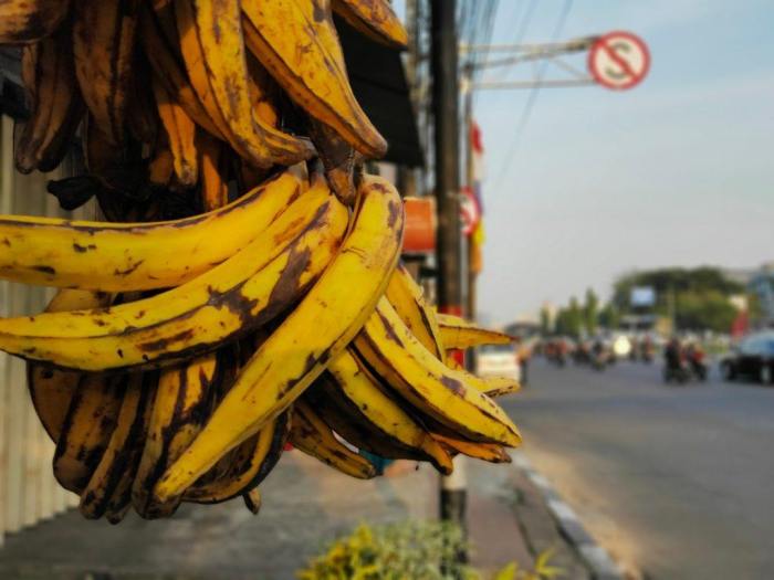 5 jenis pisang yang paling cocok diolah jadi pisang goreng